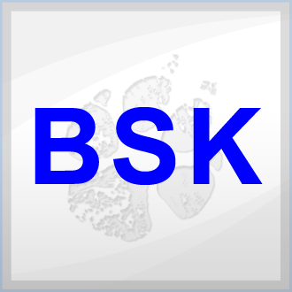 BSK Logistik